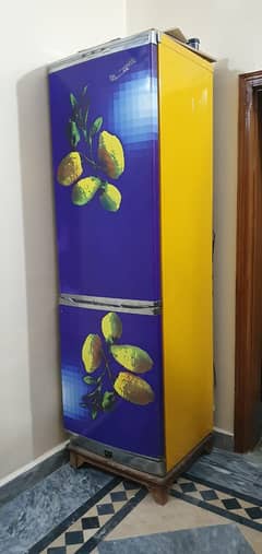 (ARISTON) International company fridge
