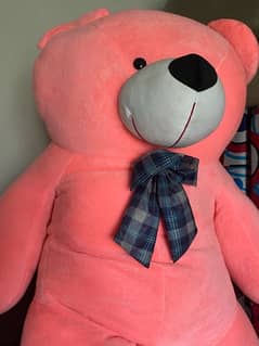 Teddy bear for sale 0