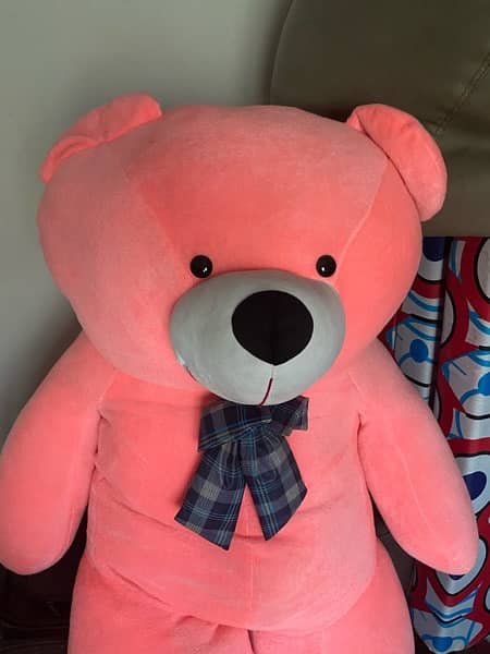 Teddy bear for sale 1