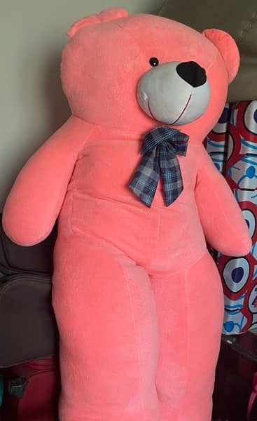 Teddy bear for sale 3