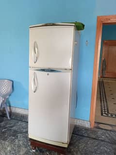 Waves Refrigerator Full Size 0