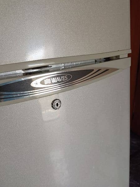 Waves Refrigerator Full Size 1