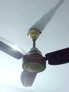 only 6 month use fan new condition urgent sale