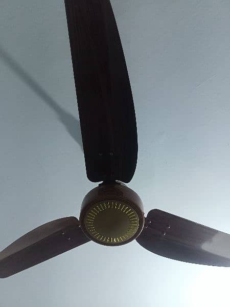 only 6 month use fan new condition urgent sale 1