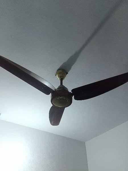 only 6 month use fan new condition urgent sale 2