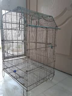 Budgie parrot cage