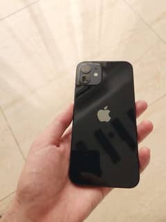 iphone 12 pta approved