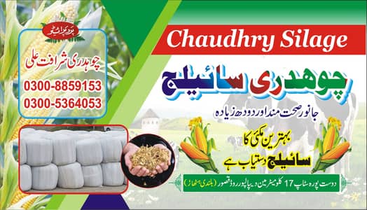 (Chaudhry