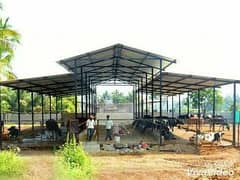 prefabricated buildings and steel structure industrial sheds
