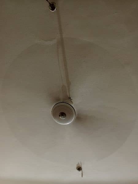 5 ceiling fan for sale 2