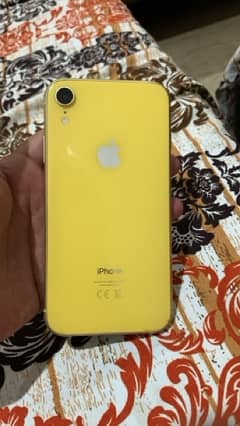 iphone Xr Dual PTA Approved