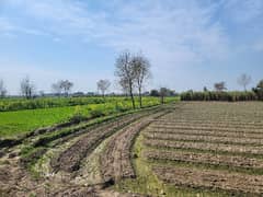 14 Acre Agriculture Land For Sale