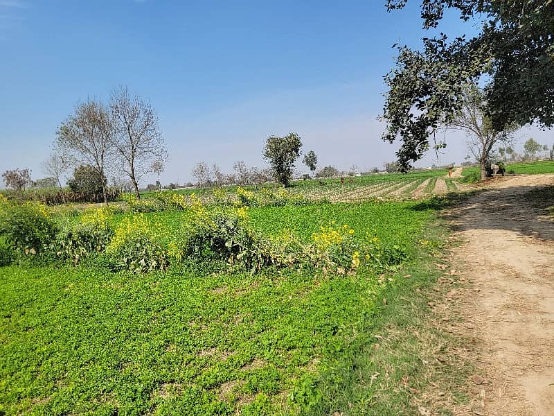 14 Acre Agriculture Land For Sale 2