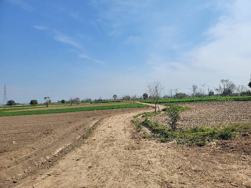 14 Acre Agriculture Land For Sale 3