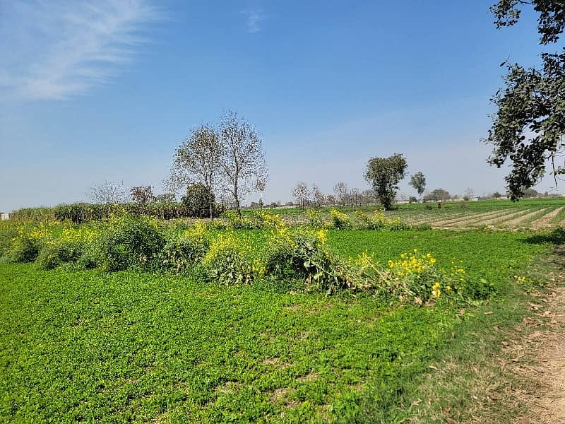 14 Acre Agriculture Land For Sale 5