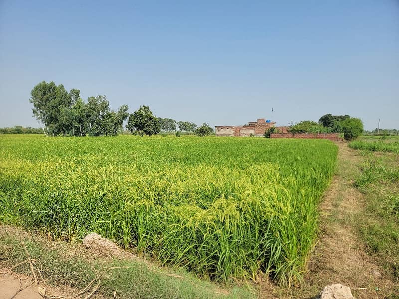 14 Acre Agriculture Land For Sale 10