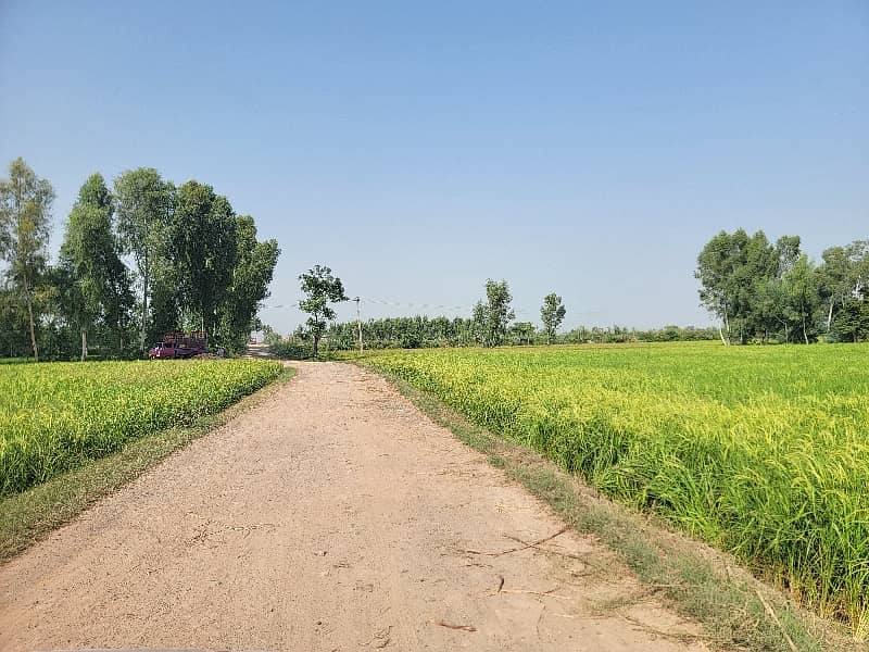 14 Acre Agriculture Land For Sale 11