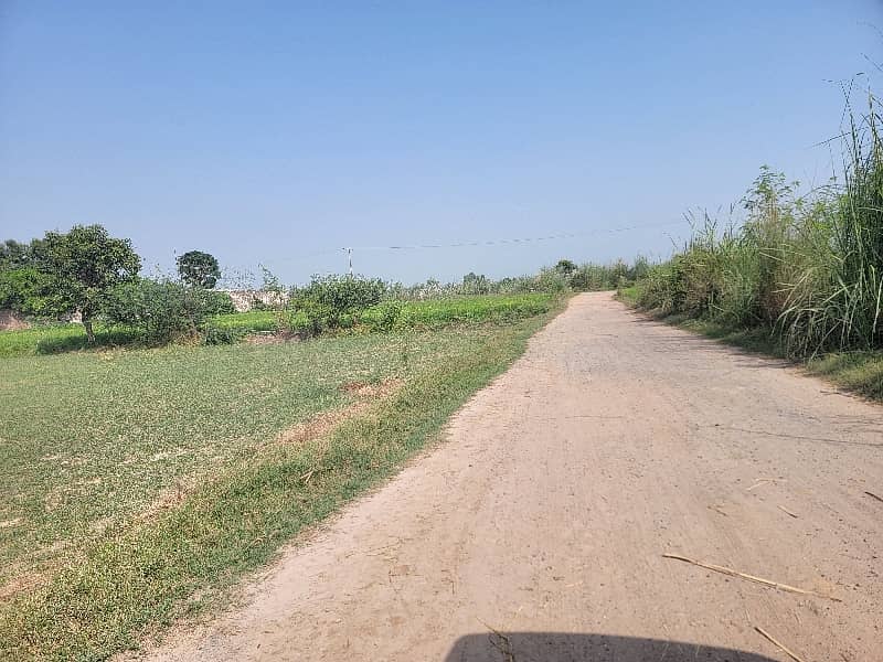 14 Acre Agriculture Land For Sale 12