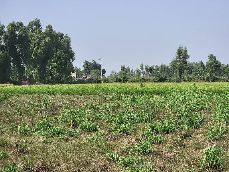 14 Acre Agriculture Land For Sale 13