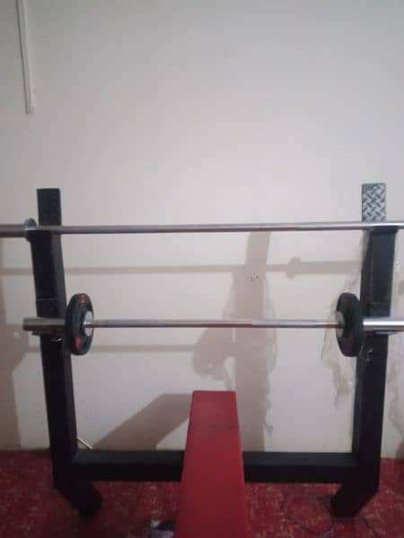 Gym Equipments 3