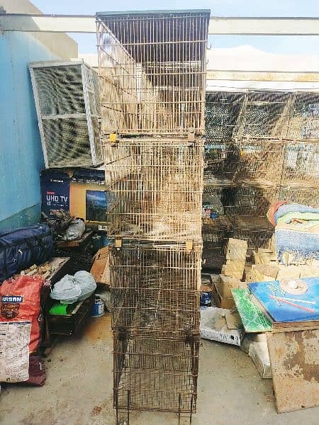 12 portion used Master Cages 1