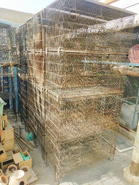 12 portion used Master Cages 2