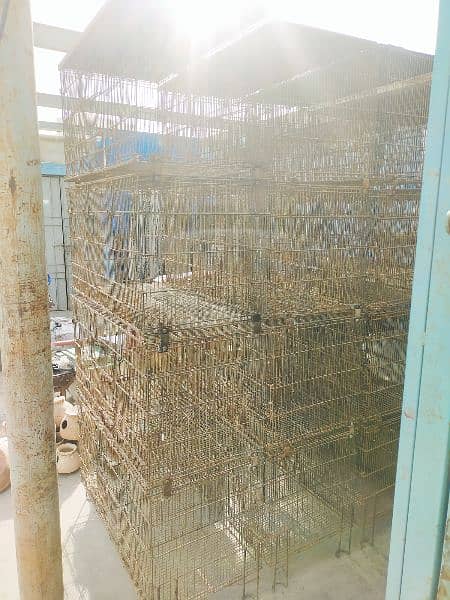 12 portion used Master Cages 3