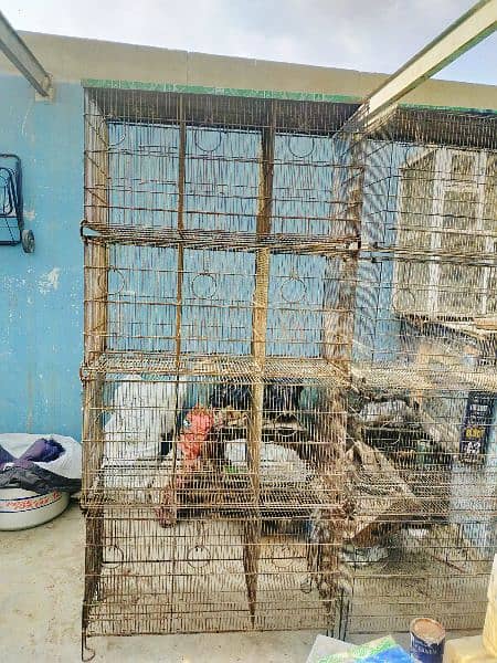 12 portion used Master Cages 4