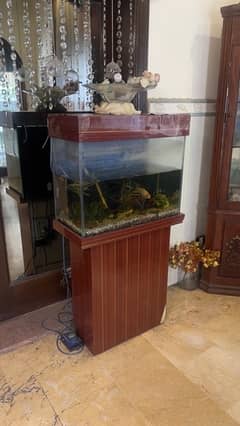 Aquarium with fish
