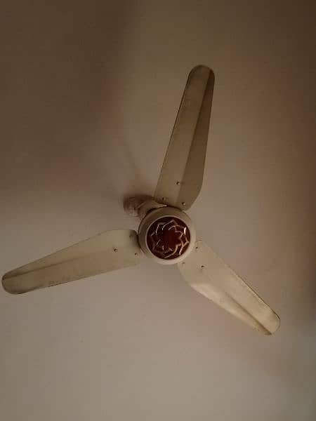5 ceiling fan for sale 3