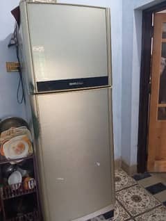 Orient invogue refrigerator