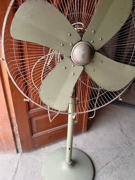 Tamoor Fan 5