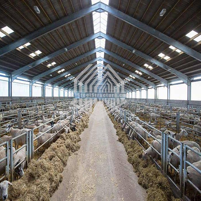 Dairy Farm Sheds / Warehouse Sheds / Industrial Shedsc 9