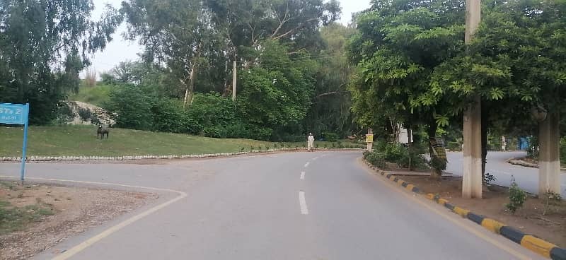 1500 Square Feet Residential Plot For sale In Beautiful Korang Town 1