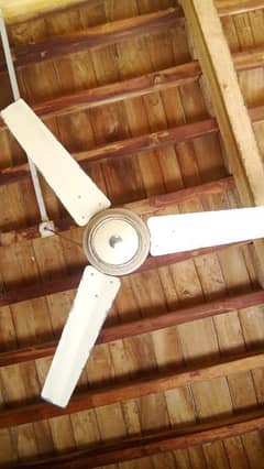 AC  ceiling fan