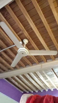 AC ceiling fan