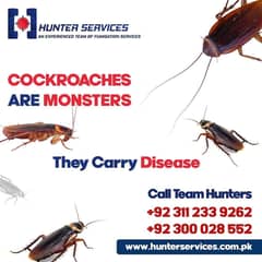Termite, Pest, Deemak, Lizard, Dengue Control, Fumigation Services