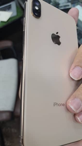 XS MAX GOLD PTA OFFICIALLY APPROVED 2