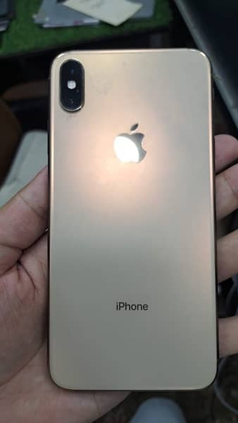 XS MAX GOLD PTA OFFICIALLY APPROVED 3