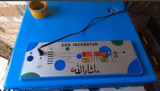 Incubator 140 Eggs