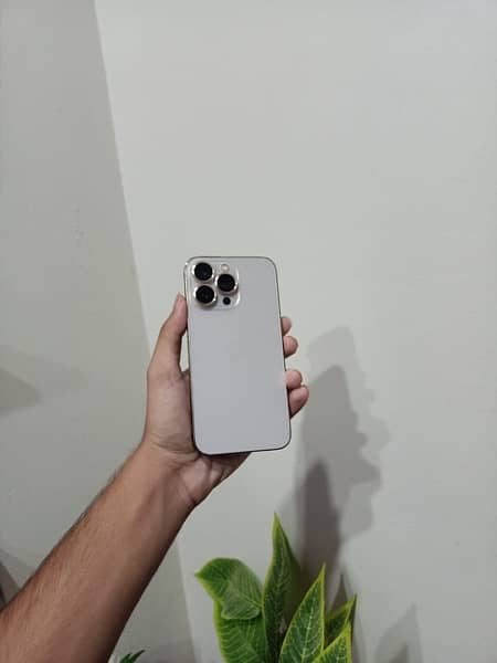 iPhone 13 Pro 2