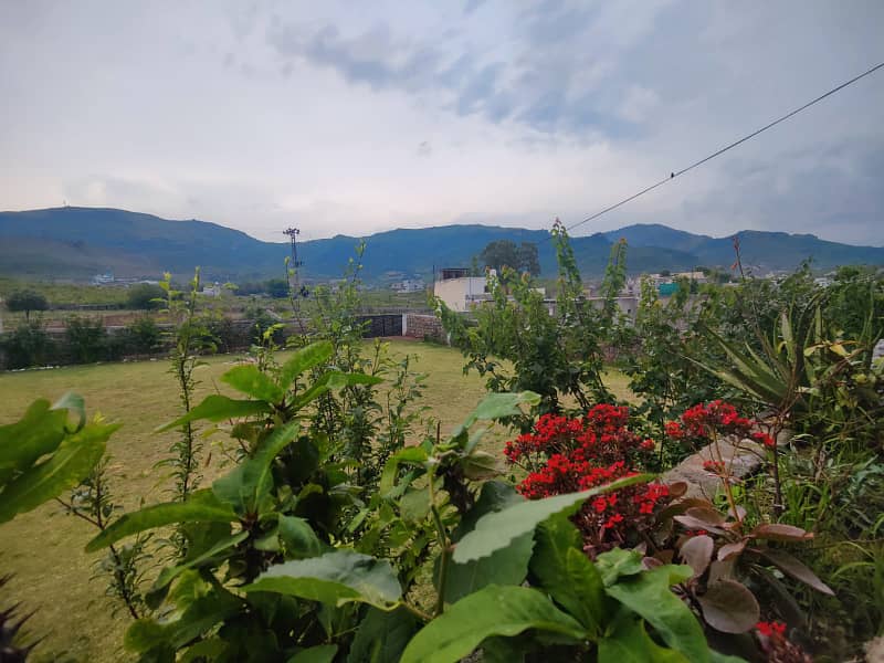 A beautiful view 4 kanal farmhouse available on daily basis 2