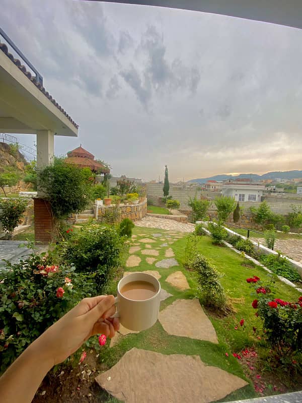 A beautiful view 4 kanal farmhouse available on daily basis 25
