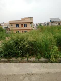 12 MARLA RESIDENTAIL PLOT AVAILABLE FOR SALE IN PWD 0