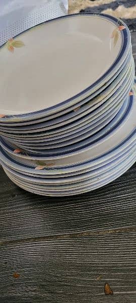 35 plates 5 bowls extra 2 dish 1