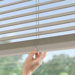 Window Blinds  / Blinds / Roller Blind / Zebra Blind