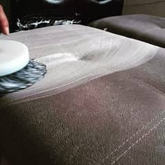 Professional, Sofa Carpet Rugs Chair Cleaning, Water Tank Cleaning