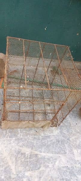 Cage For sale 2