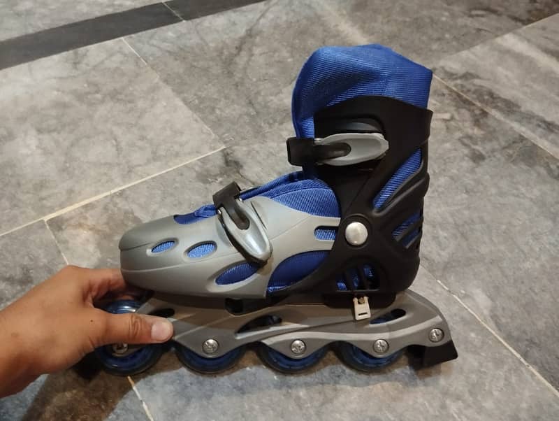 Skating shoes 1