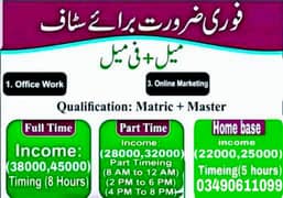 Male and female staff  required for online\ office work 0